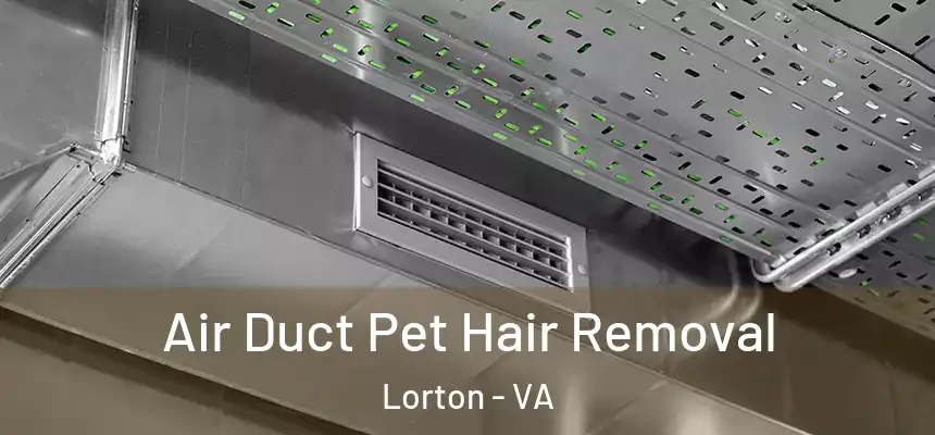 Air Duct Pet Hair Removal Lorton - VA