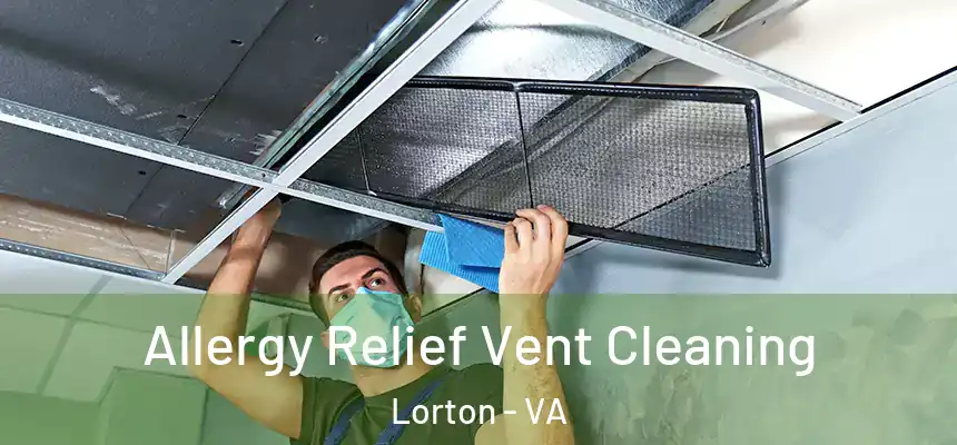  Allergy Relief Vent Cleaning Lorton - VA