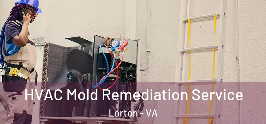  HVAC Mold Remediation Service Lorton - VA