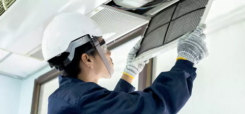 Our Mold & Mildew Removal from Air Ducts Services in Lorton, VA