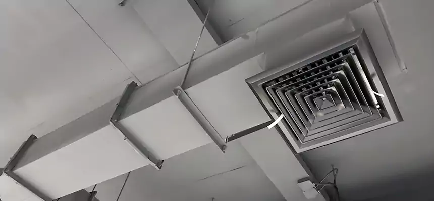 Our Rodent Droppings In Vents Services in Lorton, VA