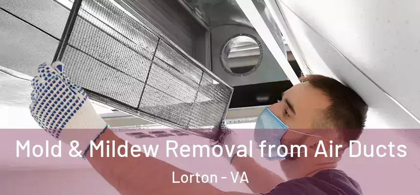  Mold & Mildew Removal from Air Ducts Lorton - VA