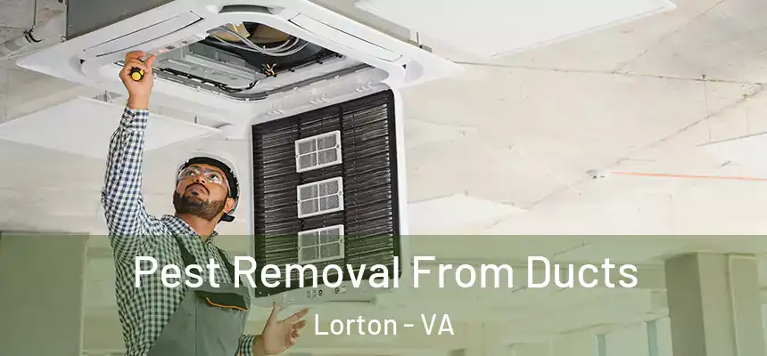  Pest Removal From Ducts Lorton - VA