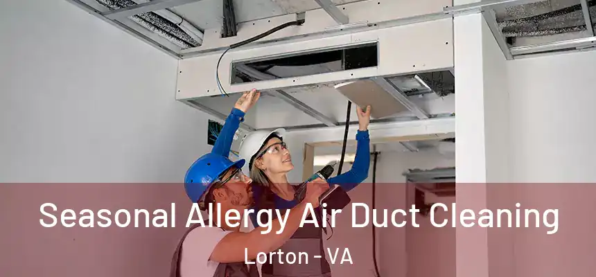 Seasonal Allergy Air Duct Cleaning Lorton - VA
