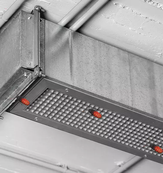 About Air Duct Cockroach Removal in Lorton, VA