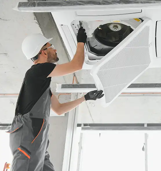 About Air Duct Rodent Removal in Lorton, VA